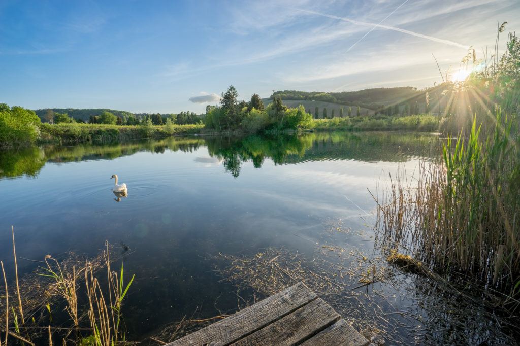 Yannick-Ciancanelli-DSC04614-HDR-2000x1333