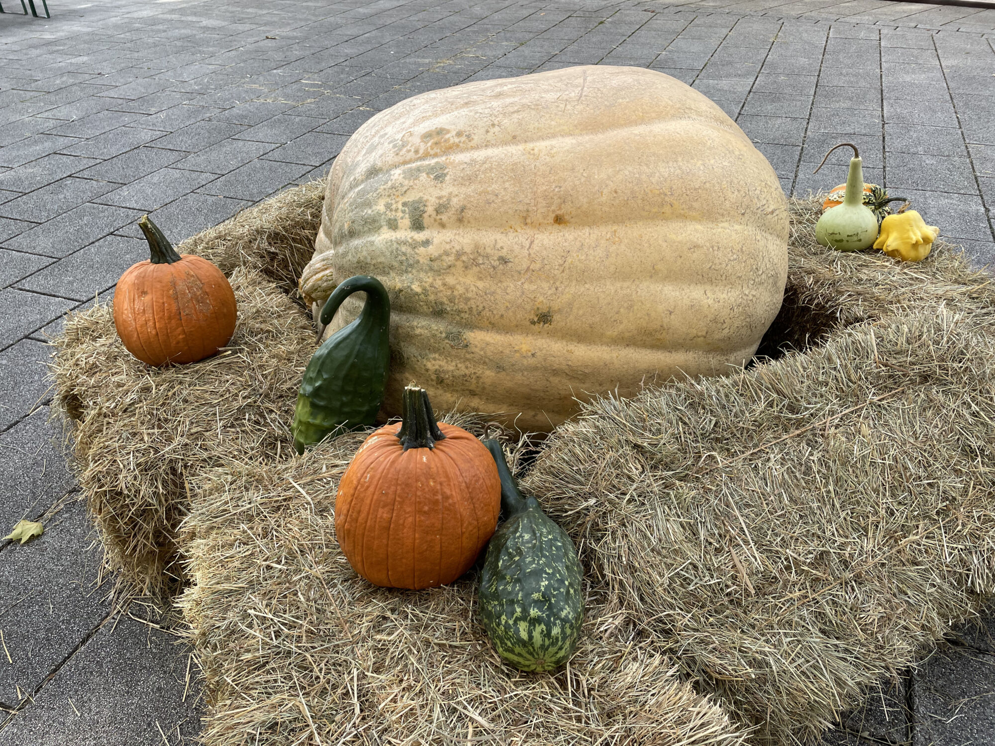 Marché d’automne