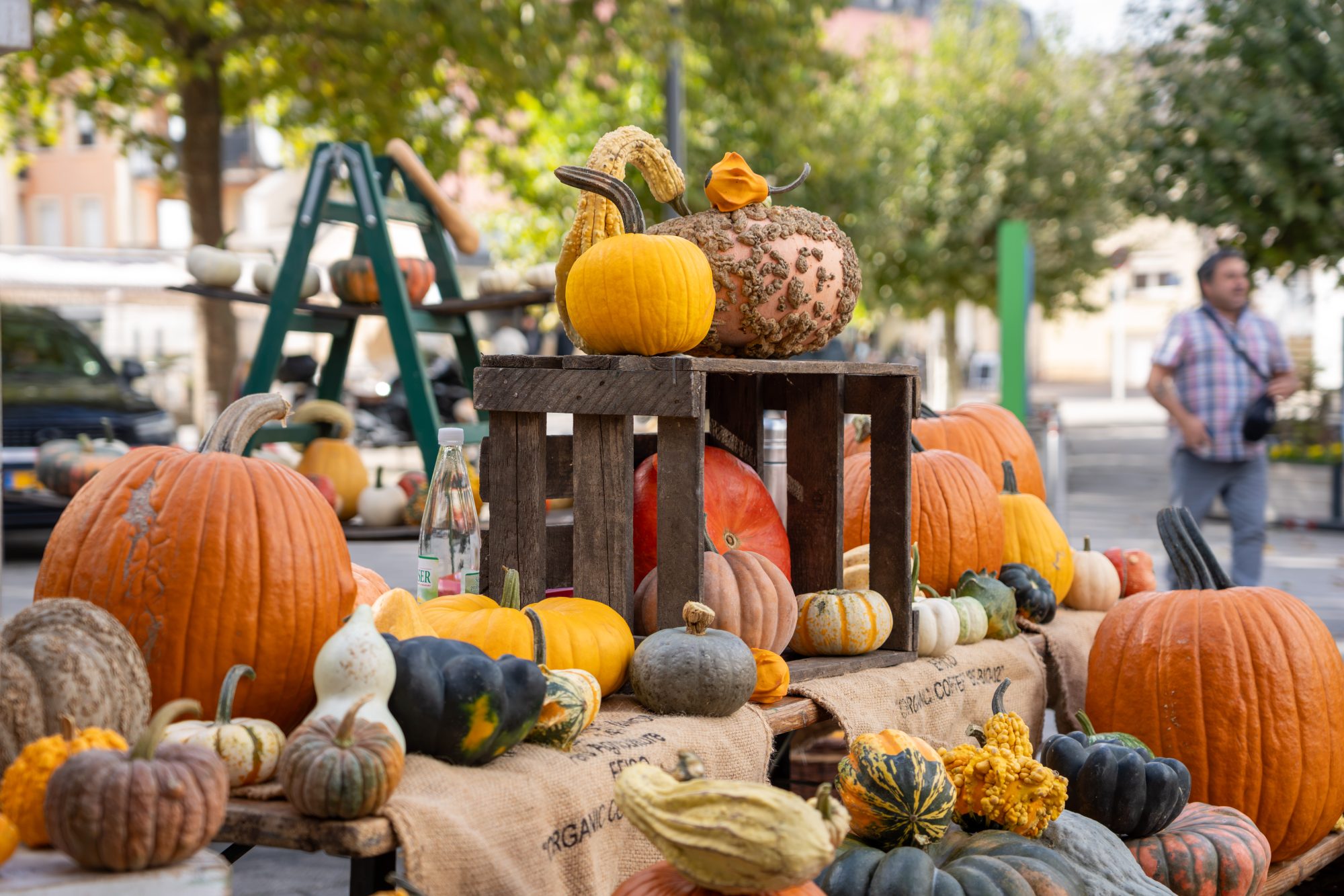 Herbstmarkt